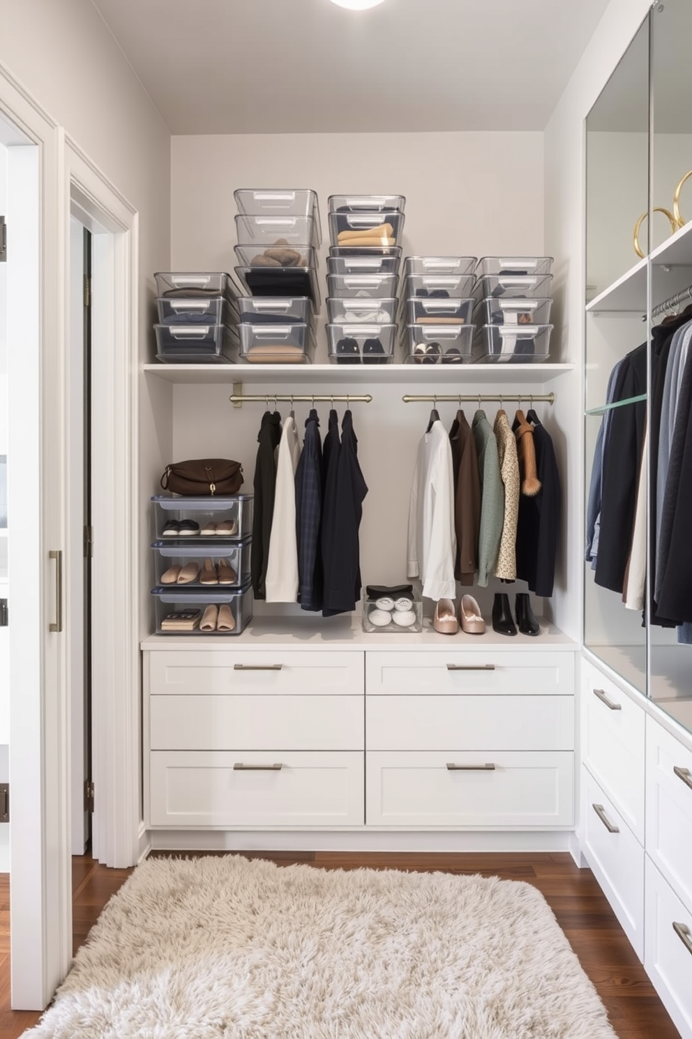 A stylish apartment walk-in closet features clear acrylic containers neatly arranged on shelves for easy visibility and access to clothing and accessories. The walls are painted in a soft neutral tone, and a plush area rug adds warmth to the space, while elegant lighting fixtures illuminate the area.