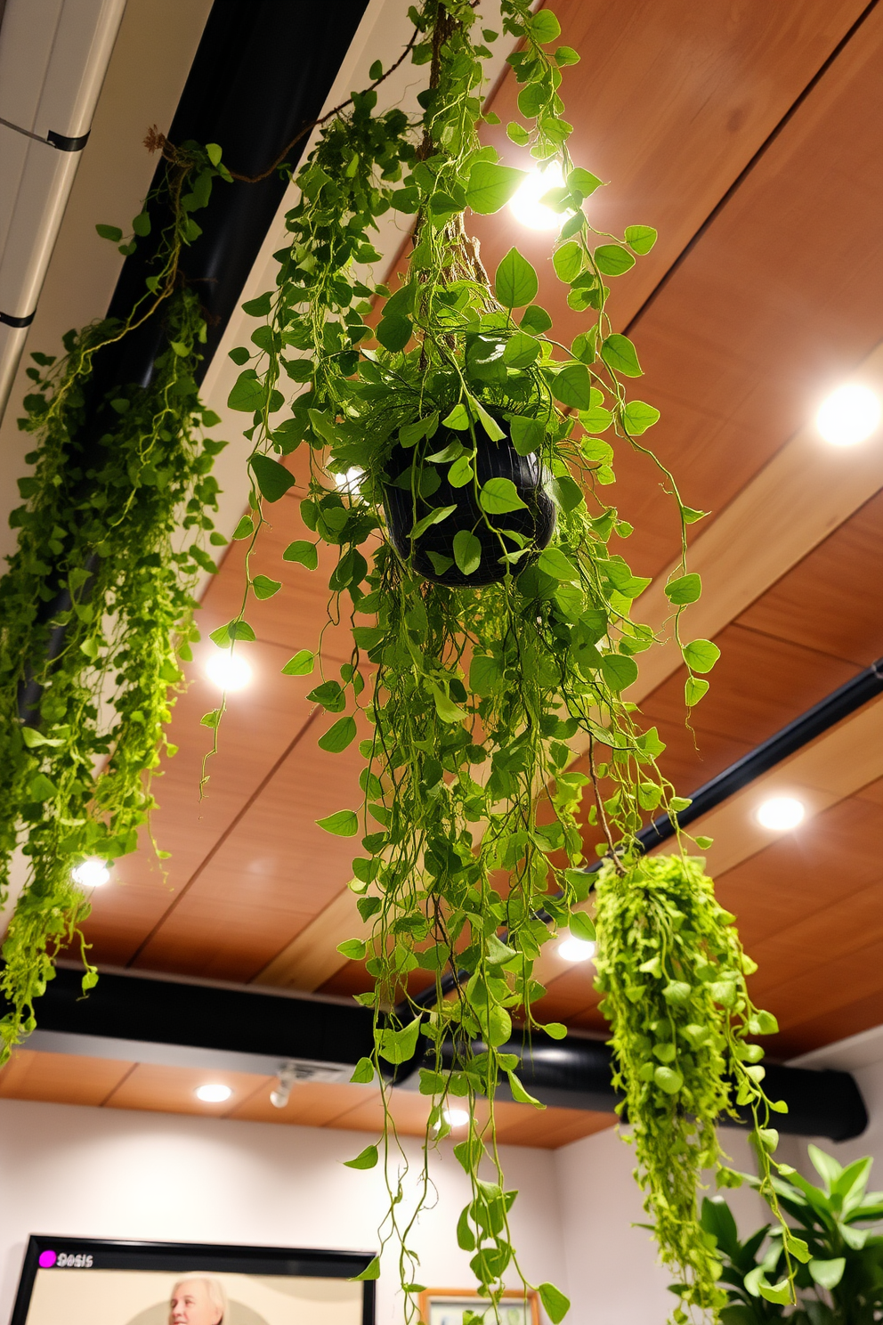 Hanging plants cascade from the ceiling, creating a lush and vibrant atmosphere in the basement. The greenery contrasts beautifully with the industrial-style exposed beams and soft ambient lighting that enhances the cozy feel of the space. The ceiling features a combination of wooden slats and modern recessed lighting, providing both style and functionality. This design choice adds depth and character while ensuring the area remains bright and inviting.