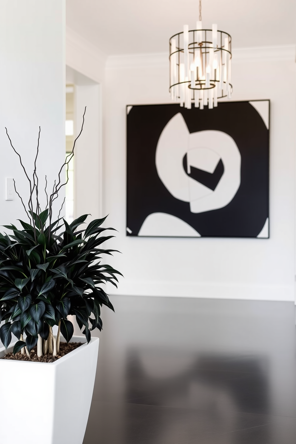 A striking foyer design featuring a white planter filled with lush black foliage. The space is illuminated by a modern chandelier, and the walls are adorned with bold black and white artwork.