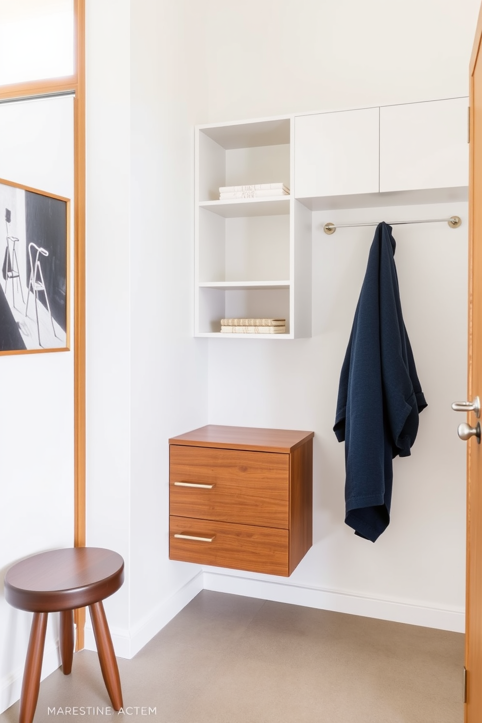 A Mid Century Modern foyer features sleek wall-mounted storage that enhances the clean aesthetic of the space. The storage is complemented by warm wood tones and minimalist hardware, creating a functional yet stylish entryway.