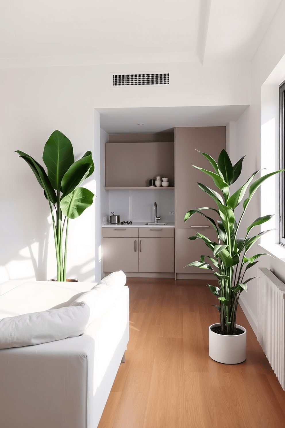 A minimalist apartment design featuring vertical space utilization with tall plants. The living area showcases a sleek, low-profile sofa paired with a glass coffee table, while a large potted fiddle leaf fig stands in the corner, drawing the eye upwards. The kitchen is adorned with simple cabinetry and open shelving, displaying a few curated kitchen items. A tall snake plant adds greenery next to the window, enhancing the airy feel of the space.