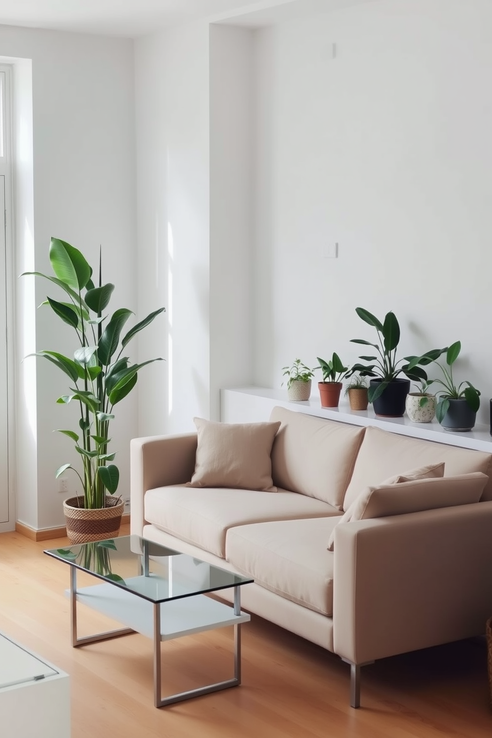 A serene minimalist living room adorned with various indoor plants that bring a touch of nature indoors. The space features a simple yet elegant sofa in neutral tones, complemented by a sleek coffee table made of glass and metal. In one corner, a tall leafy plant adds height and vibrancy, while smaller potted plants are placed on the windowsill. The walls are painted in soft white, and the flooring is light wood, creating a warm and inviting atmosphere.