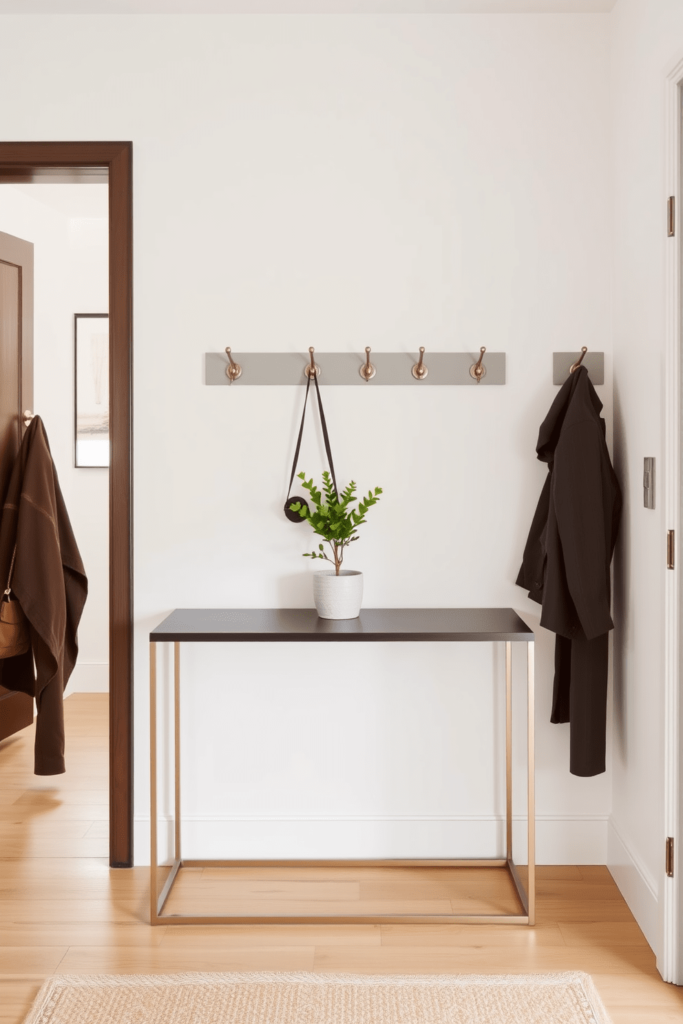 Create a compact entryway featuring a sleek console table against the wall. Above the table, install a series of minimalist hooks for coats and bags, enhancing functionality without sacrificing style. The walls are painted in a light neutral tone to create an airy feel. Incorporate a small potted plant on the console table for a touch of greenery and warmth.