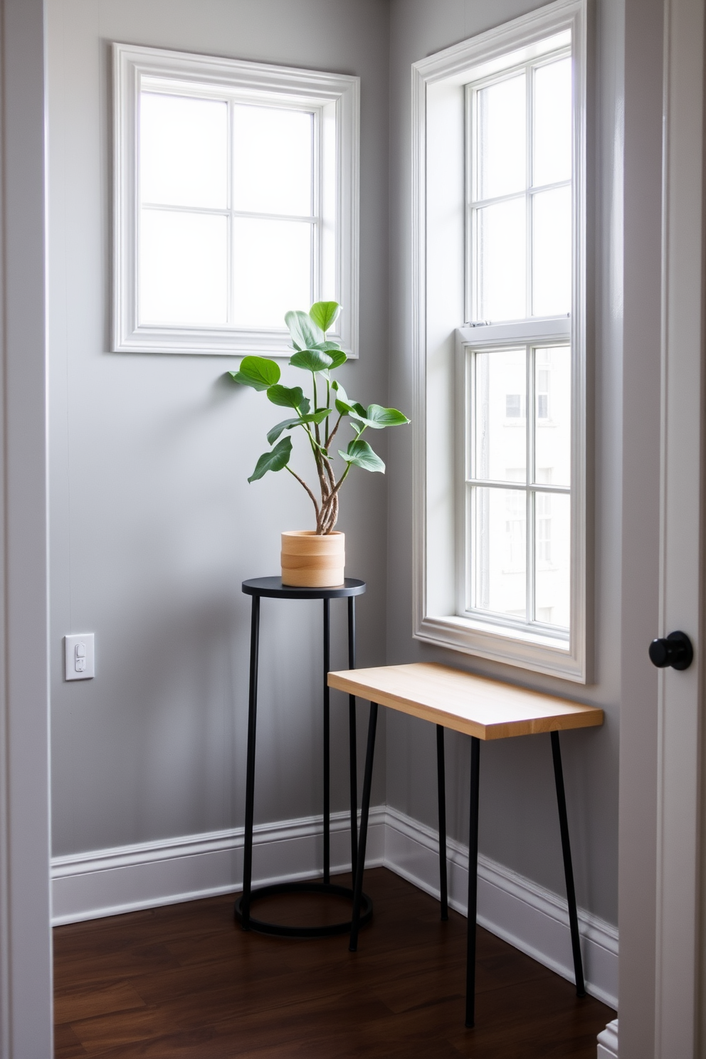 A small foyer with a stylish corner plant stand that adds a touch of greenery. The walls are painted in a soft gray, and a minimalist bench with a light wood finish sits against one side, creating a welcoming entryway.