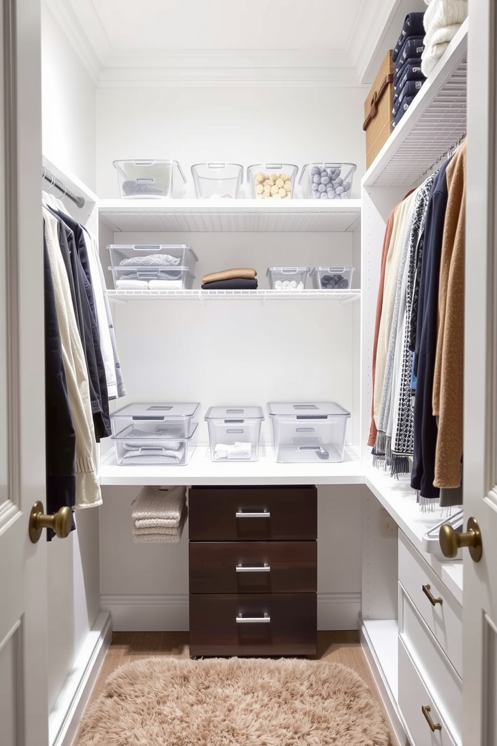 A small walk-in closet designed for both visibility and style features clear acrylic containers neatly organized on open shelves. The walls are painted in a soft white hue, enhancing the space's brightness, while a plush area rug adds warmth underfoot.