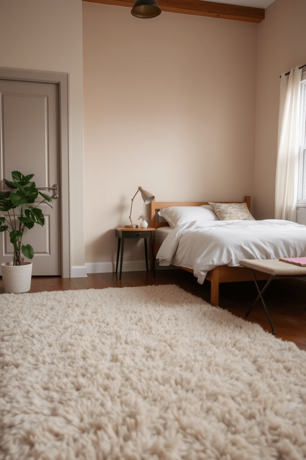 A cozy very small bedroom features a plush area rug that defines the sleeping space, adding warmth and texture to the room. The bed is positioned against one wall with soft bedding, while a small bedside table holds a lamp for gentle illumination.