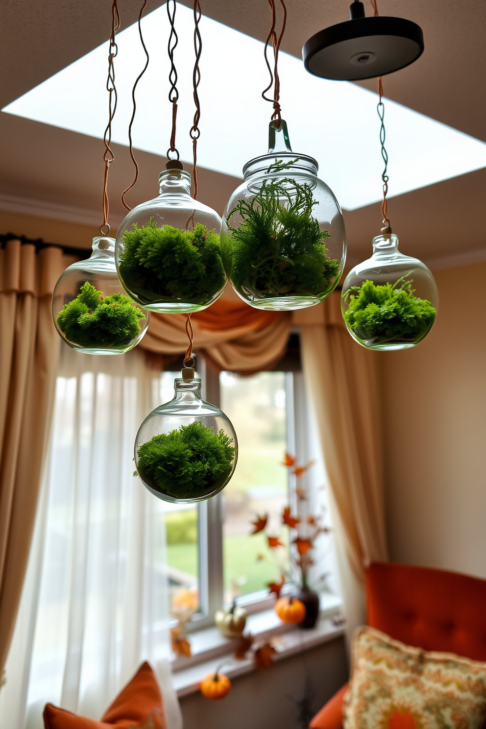 A cozy living room adorned with hanging glass terrariums filled with lush green moss. The terrariums dangle from the ceiling, creating a whimsical atmosphere that complements the warm autumn colors of the room. The window is beautifully decorated with seasonal elements like dried leaves and small pumpkins. Soft, sheer curtains frame the window, allowing natural light to filter through and enhance the inviting ambiance.