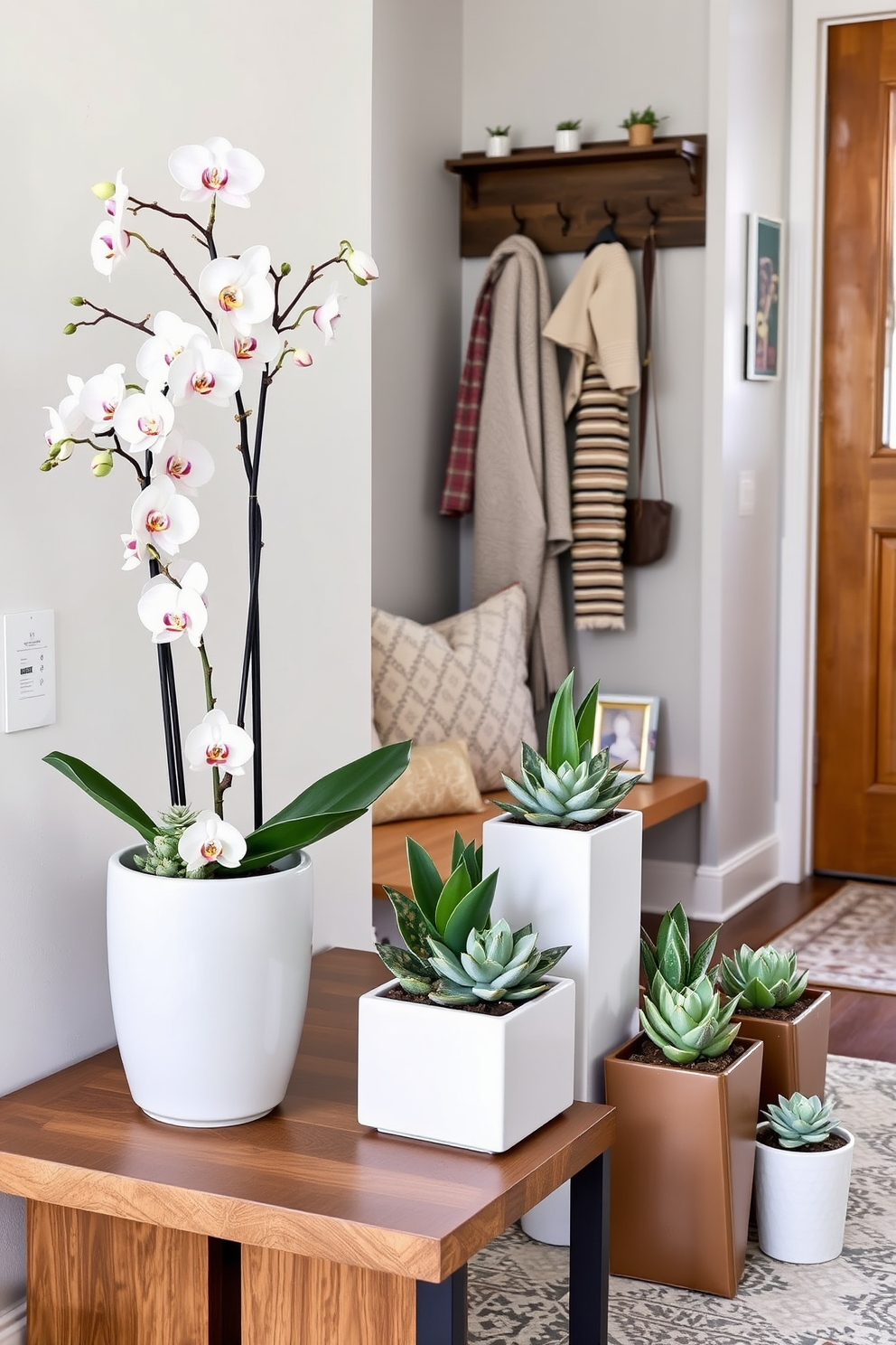 A winter entryway decorated with elegant orchids in a sleek ceramic pot. The space features a warm wooden bench with cozy blankets draped over it and a stylish coat rack adorned with winter accessories. Succulents arranged in various sizes of modern planters create a vibrant contrast against the cool tones of the entryway walls. A soft area rug lies beneath the bench, adding texture and warmth to the inviting atmosphere.